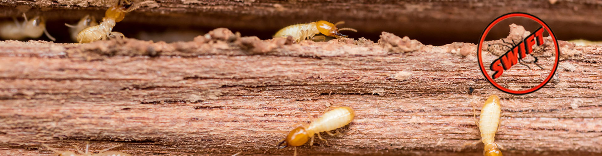 SWIFT Termite Control