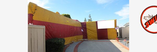 House tented for Termites and bugs. room for your text on blank