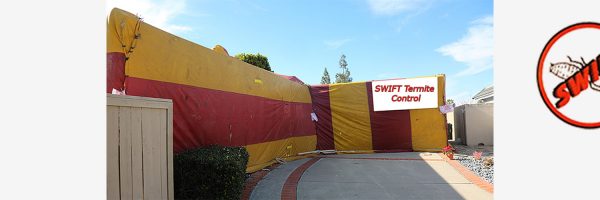 House tented for Termites and bugs. room for your text on blank