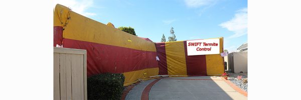 House tented for Termites and bugs. room for your text on blank